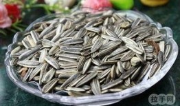 热门大瓜子,零食界的明星产品